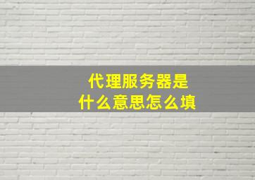 代理服务器是什么意思怎么填