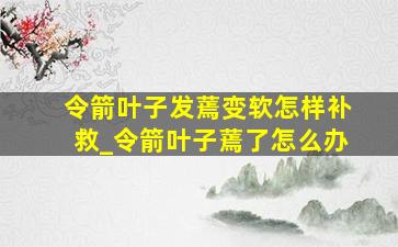 令箭叶子发蔫变软怎样补救_令箭叶子蔫了怎么办