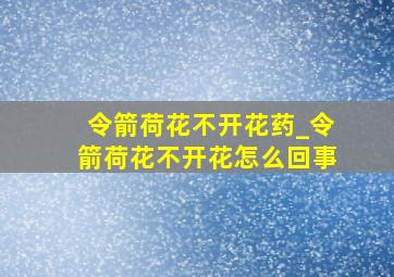 令箭荷花不开花药_令箭荷花不开花怎么回事