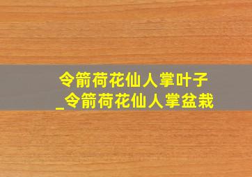 令箭荷花仙人掌叶子_令箭荷花仙人掌盆栽