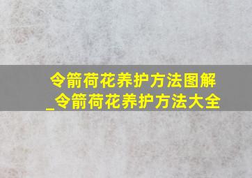 令箭荷花养护方法图解_令箭荷花养护方法大全