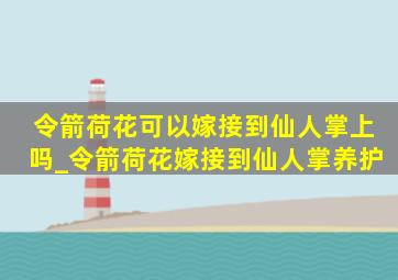 令箭荷花可以嫁接到仙人掌上吗_令箭荷花嫁接到仙人掌养护