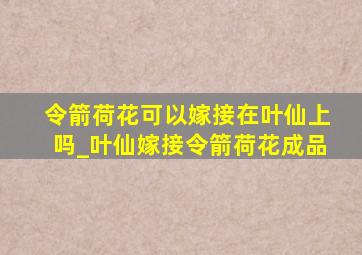 令箭荷花可以嫁接在叶仙上吗_叶仙嫁接令箭荷花成品