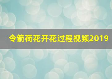 令箭荷花开花过程视频2019