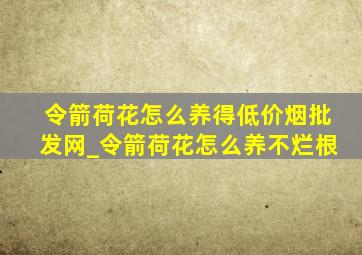 令箭荷花怎么养得(低价烟批发网)_令箭荷花怎么养不烂根