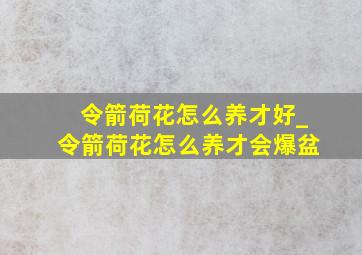 令箭荷花怎么养才好_令箭荷花怎么养才会爆盆