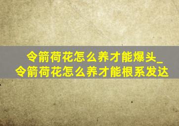 令箭荷花怎么养才能爆头_令箭荷花怎么养才能根系发达