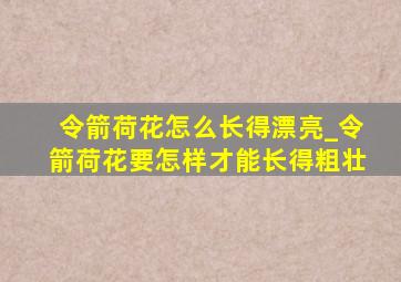 令箭荷花怎么长得漂亮_令箭荷花要怎样才能长得粗壮