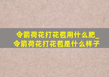 令箭荷花打花苞用什么肥_令箭荷花打花苞是什么样子