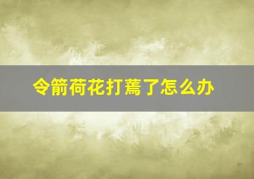 令箭荷花打蔫了怎么办