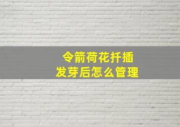 令箭荷花扦插发芽后怎么管理