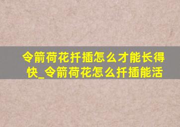 令箭荷花扦插怎么才能长得快_令箭荷花怎么扦插能活