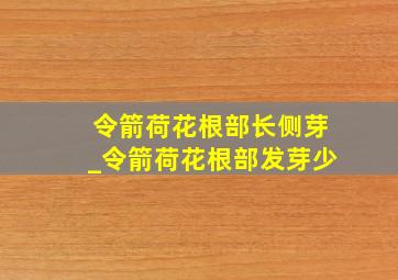 令箭荷花根部长侧芽_令箭荷花根部发芽少