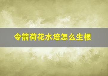 令箭荷花水培怎么生根