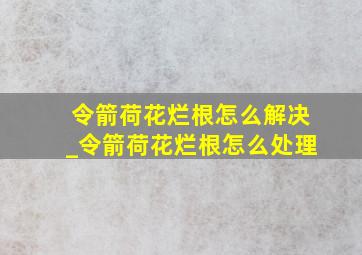 令箭荷花烂根怎么解决_令箭荷花烂根怎么处理