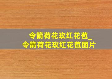 令箭荷花玫红花苞_令箭荷花玫红花苞图片