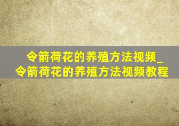 令箭荷花的养殖方法视频_令箭荷花的养殖方法视频教程