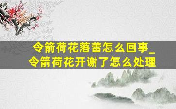 令箭荷花落蕾怎么回事_令箭荷花开谢了怎么处理