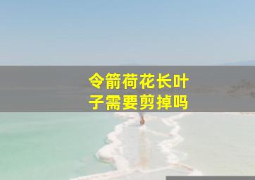 令箭荷花长叶子需要剪掉吗