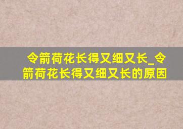 令箭荷花长得又细又长_令箭荷花长得又细又长的原因