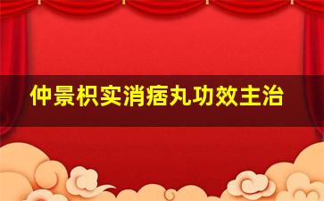 仲景枳实消痞丸功效主治