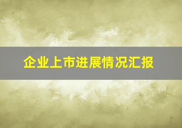 企业上市进展情况汇报