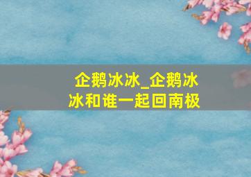 企鹅冰冰_企鹅冰冰和谁一起回南极