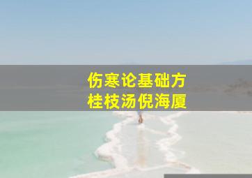 伤寒论基础方桂枝汤倪海厦