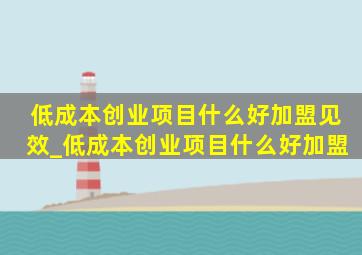 低成本创业项目什么好加盟见效_低成本创业项目什么好加盟