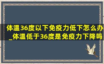 体温36度以下免疫力低下怎么办_体温低于36度是免疫力下降吗