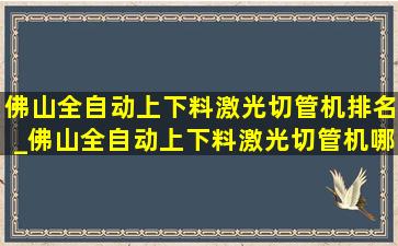 佛山全自动上下料激光切管机排名_佛山全自动上下料激光切管机哪种好