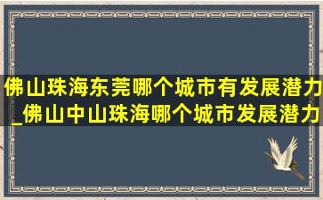 佛山珠海东莞哪个城市有发展潜力_佛山中山珠海哪个城市发展潜力大