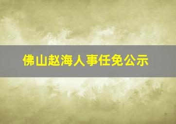 佛山赵海人事任免公示