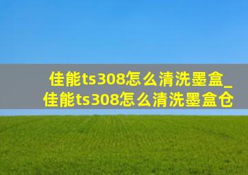 佳能ts308怎么清洗墨盒_佳能ts308怎么清洗墨盒仓