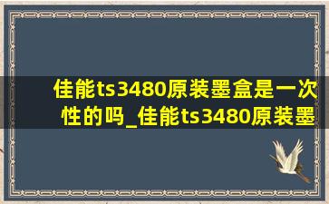 佳能ts3480原装墨盒是一次性的吗_佳能ts3480原装墨盒可以加墨吗