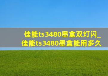 佳能ts3480墨盒双灯闪_佳能ts3480墨盒能用多久