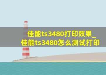 佳能ts3480打印效果_佳能ts3480怎么测试打印