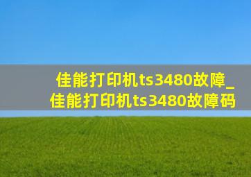 佳能打印机ts3480故障_佳能打印机ts3480故障码