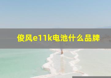 俊风e11k电池什么品牌