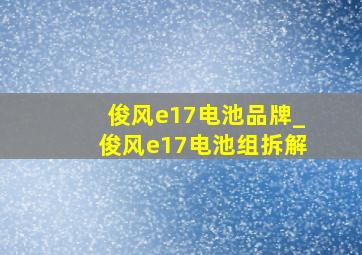 俊风e17电池品牌_俊风e17电池组拆解