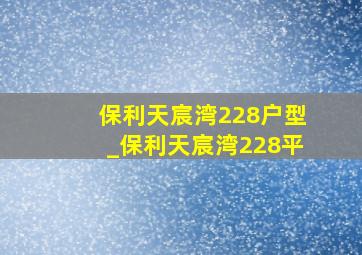 保利天宸湾228户型_保利天宸湾228平