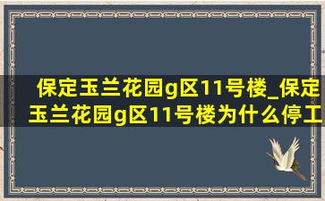 保定玉兰花园g区11号楼_保定玉兰花园g区11号楼为什么停工