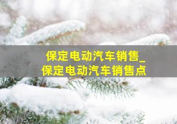 保定电动汽车销售_保定电动汽车销售点