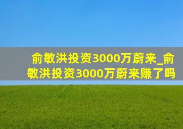 俞敏洪投资3000万蔚来_俞敏洪投资3000万蔚来赚了吗