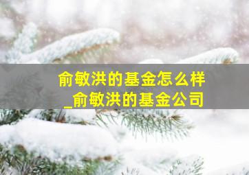 俞敏洪的基金怎么样_俞敏洪的基金公司