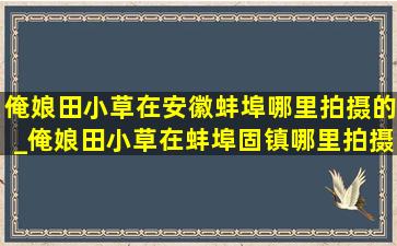 俺娘田小草在安徽蚌埠哪里拍摄的_俺娘田小草在蚌埠固镇哪里拍摄