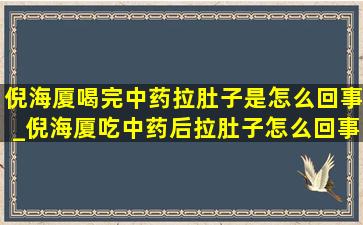 倪海厦喝完中药拉肚子是怎么回事_倪海厦吃中药后拉肚子怎么回事