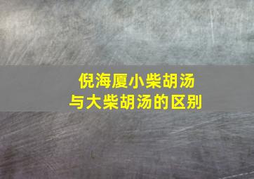 倪海厦小柴胡汤与大柴胡汤的区别