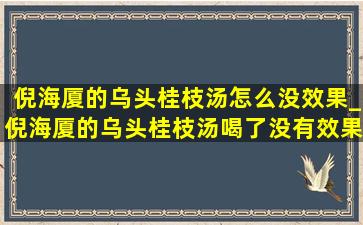 倪海厦的乌头桂枝汤怎么没效果_倪海厦的乌头桂枝汤喝了没有效果