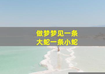 做梦梦见一条大蛇一条小蛇